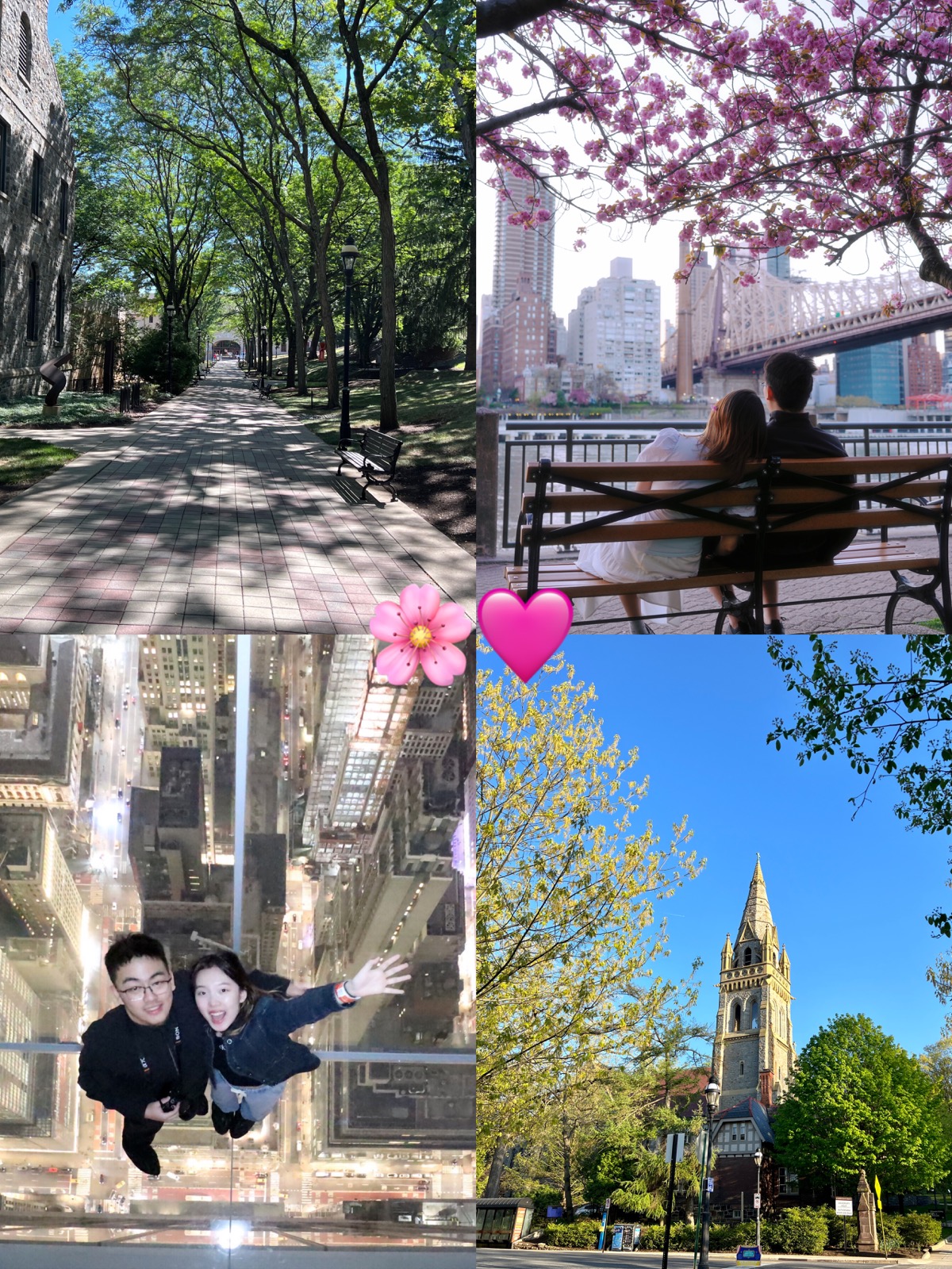 春天的校园、樱花和城市回忆